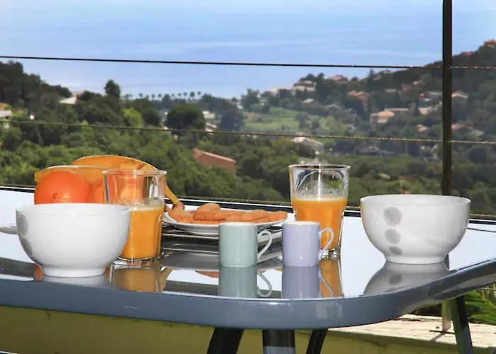 Cap Corse Uribellinu 2 Formule Petit Dejeuner