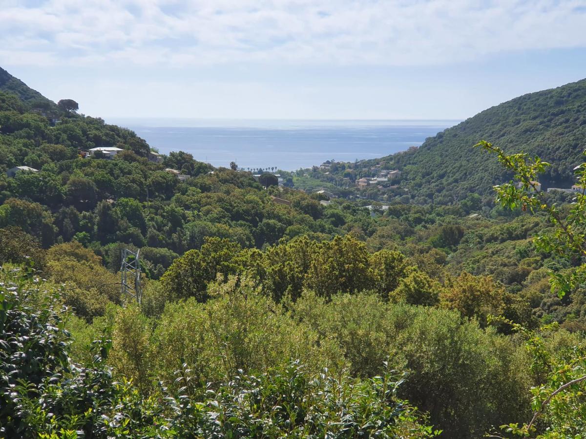 Cap Corse Uribellinu 2 Formule Petit Dejeuner Apartment Santa-Maria-di-Lota